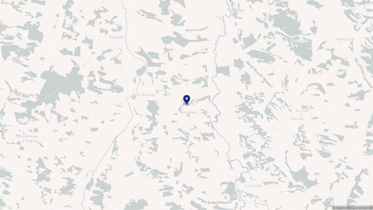 Aperçu cartographique de Mirannes, centré sur la commune