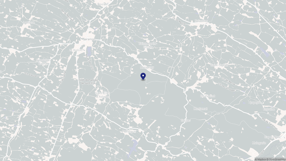 Aperçu cartographique de Mongausy, centré sur la commune