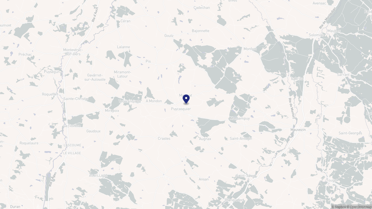 Aperçu cartographique de Puycasquier, centré sur la commune