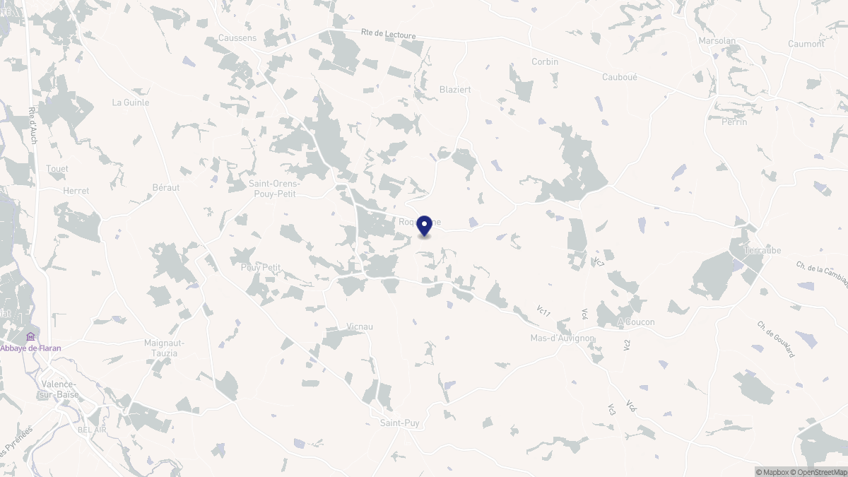Aperçu cartographique de Roquepine, centré sur la commune