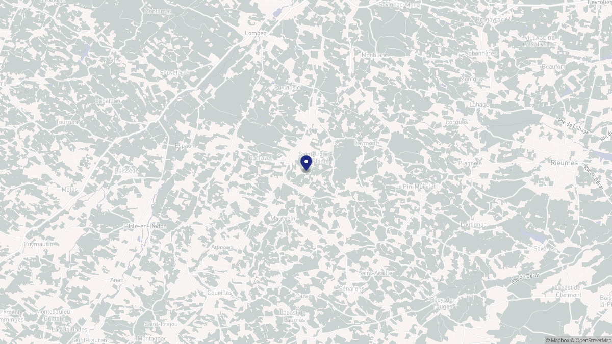 Aperçu cartographique de Saint-Lizier-du-Planté, centré sur la commune