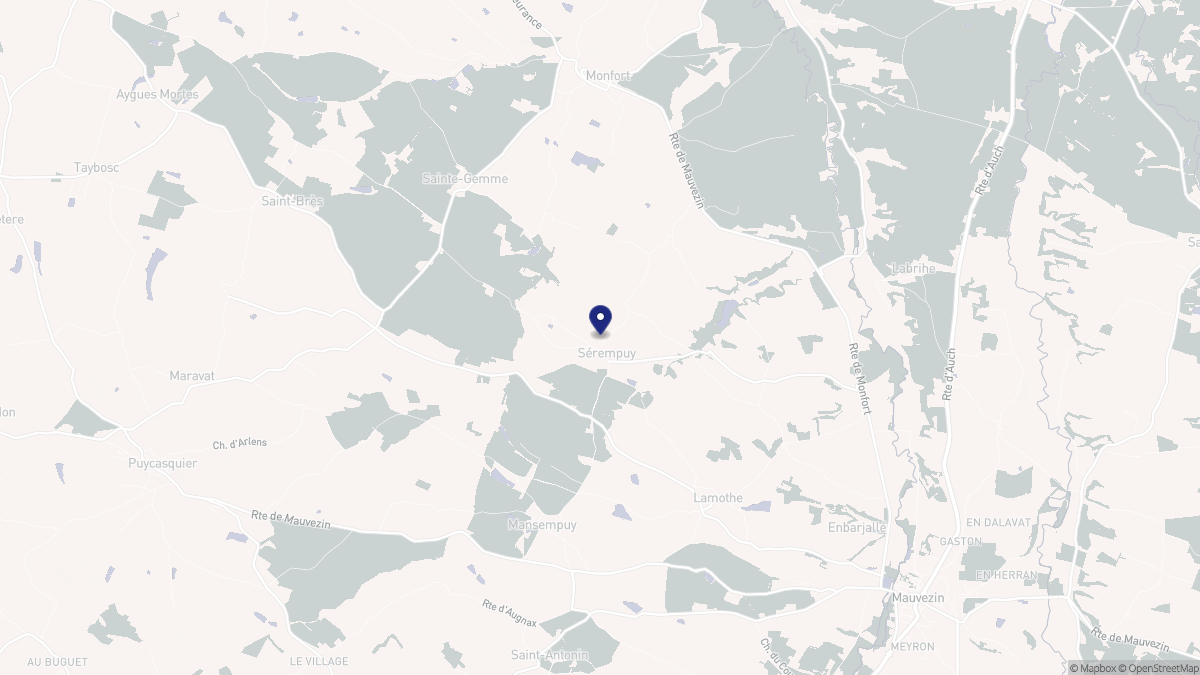 Aperçu cartographique de Sérempuy, centré sur la commune