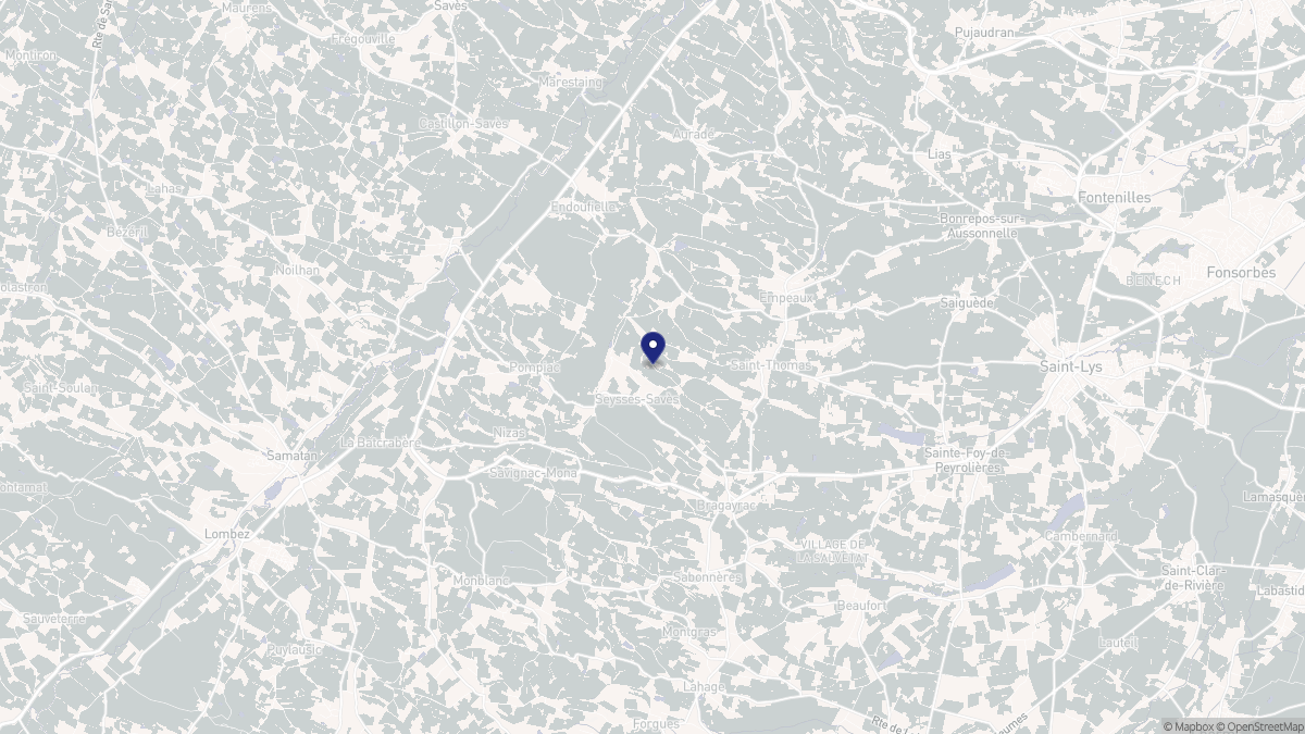 Aperçu cartographique de Seysses-Savès, centré sur la commune
