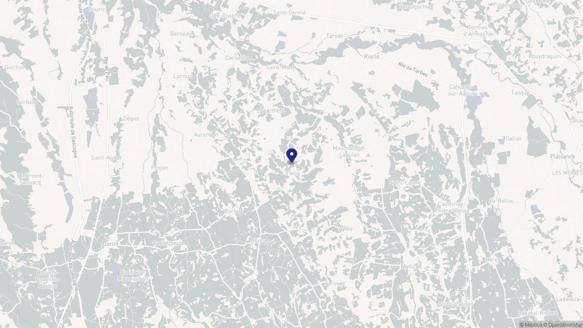 Aperçu cartographique de Viella, centré sur la commune