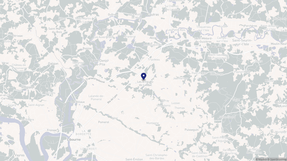 Aperçu cartographique de Les Artigues-de-Lussac, centré sur la commune