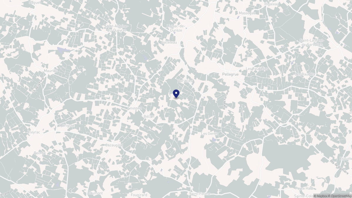 Aperçu cartographique de Auriolles, centré sur la commune