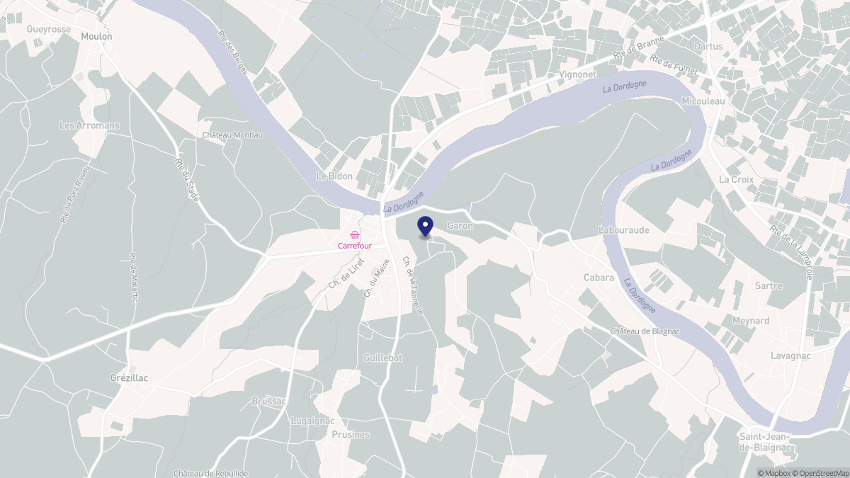 Aperçu cartographique de Branne, centré sur la commune