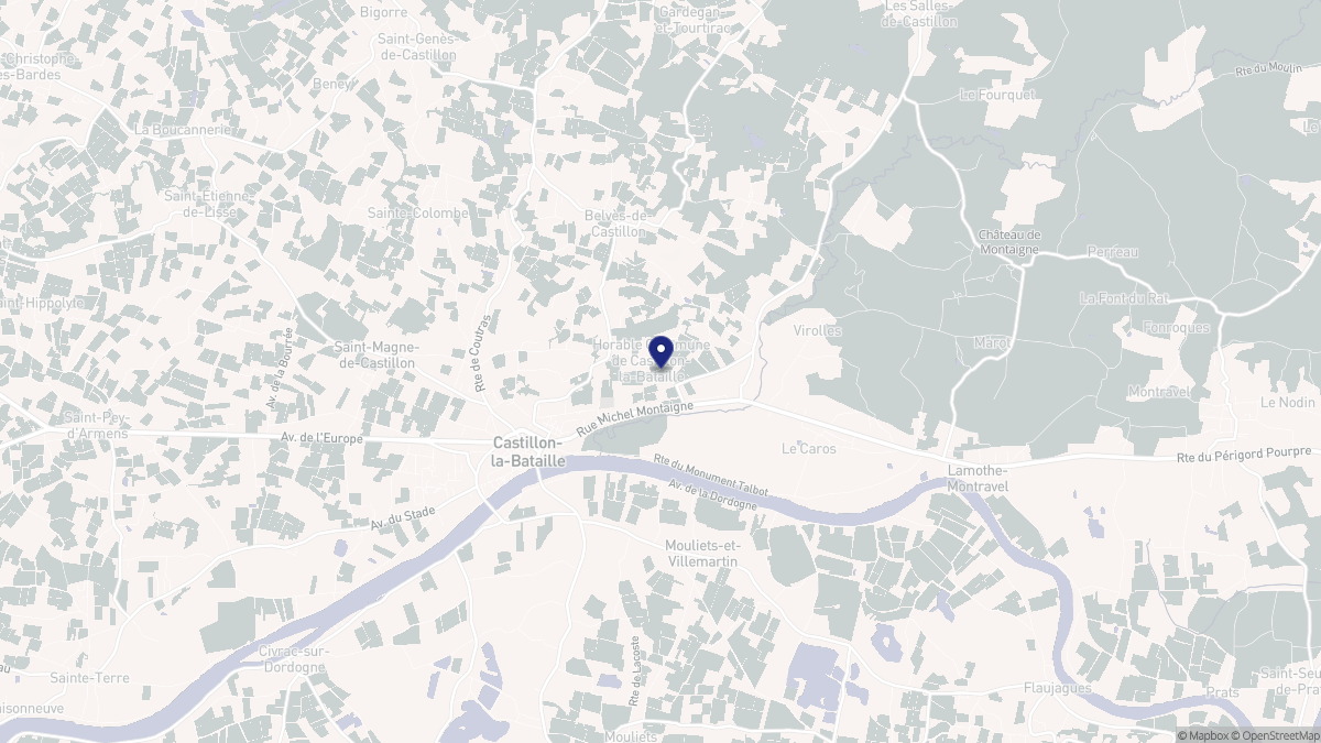 Aperçu cartographique de Castillon-la-Bataille, centré sur la commune