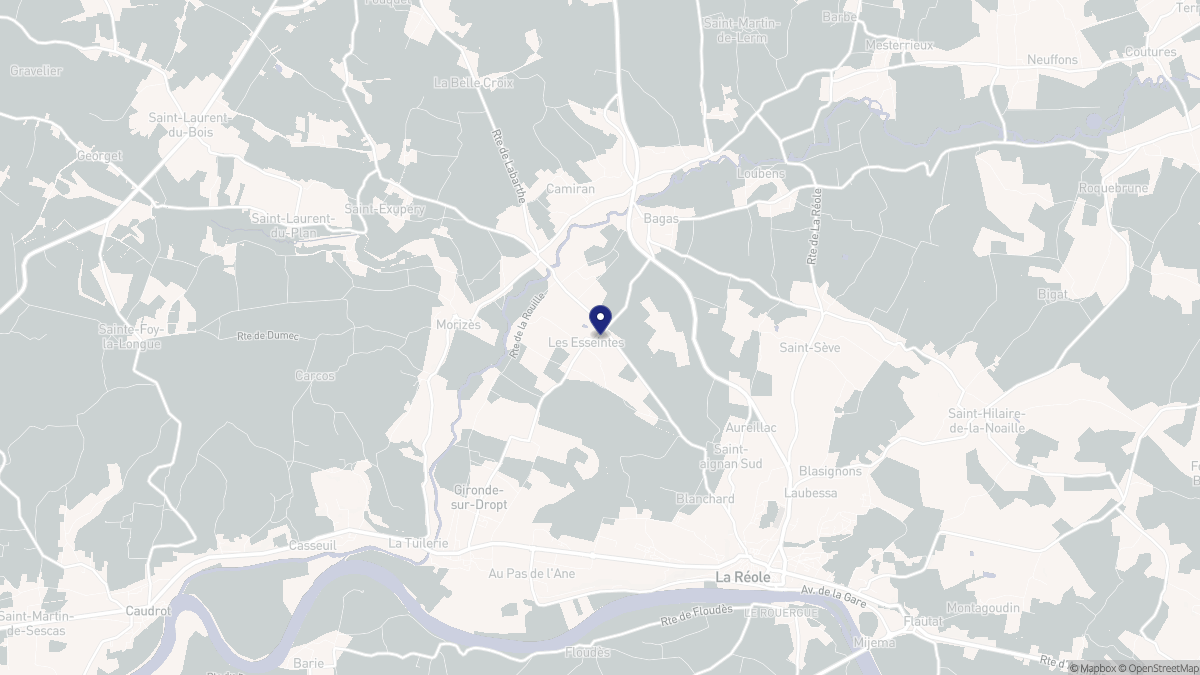 Aperçu cartographique de Les Esseintes, centré sur la commune