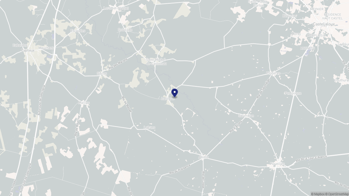 Aperçu cartographique de Lartigue, centré sur la commune
