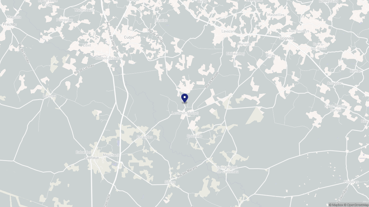Aperçu cartographique de Lerm-et-Musset, centré sur la commune