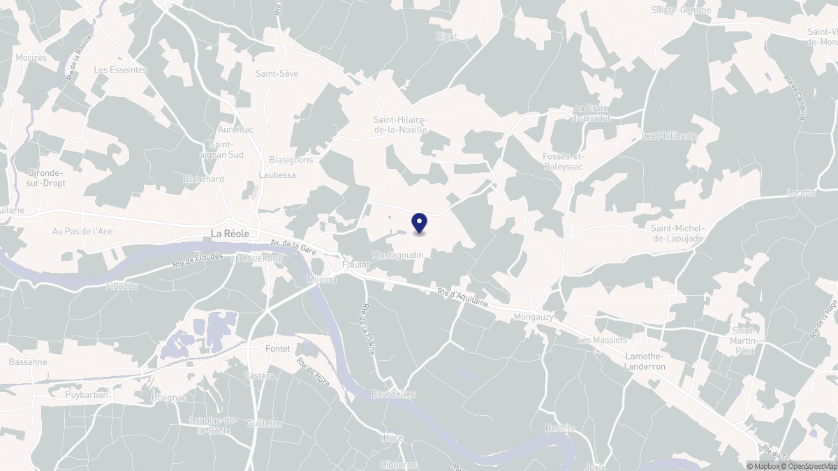 Aperçu cartographique de Montagoudin, centré sur la commune