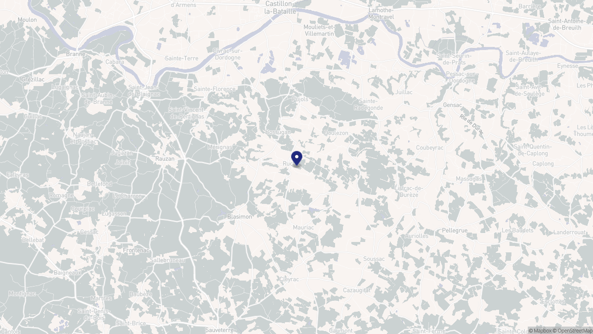 Aperçu cartographique de Ruch, centré sur la commune