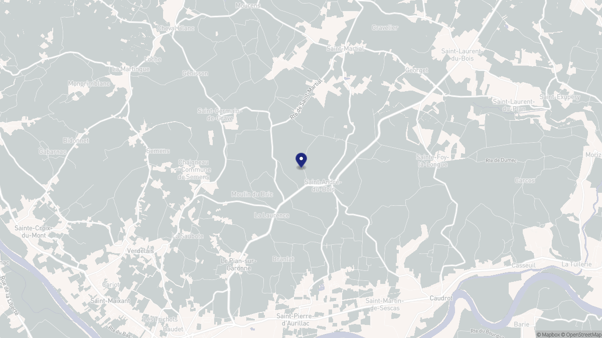 Aperçu cartographique de Saint-André-du-Bois, centré sur la commune