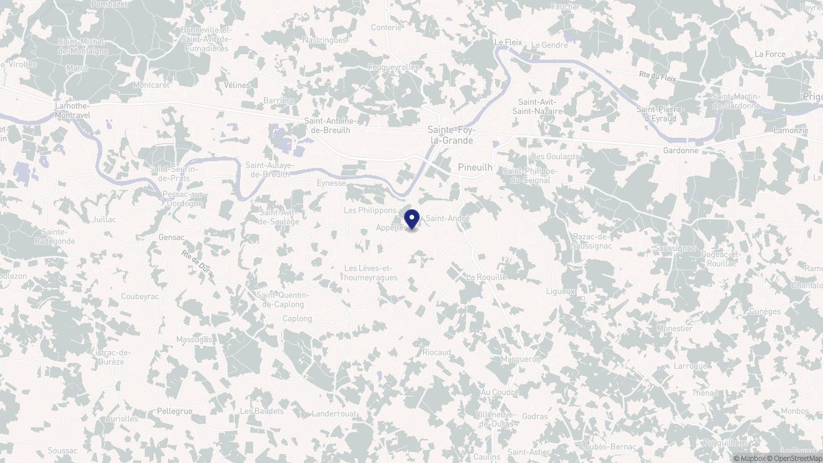 Aperçu cartographique de Saint-André-et-Appelles, centré sur la commune