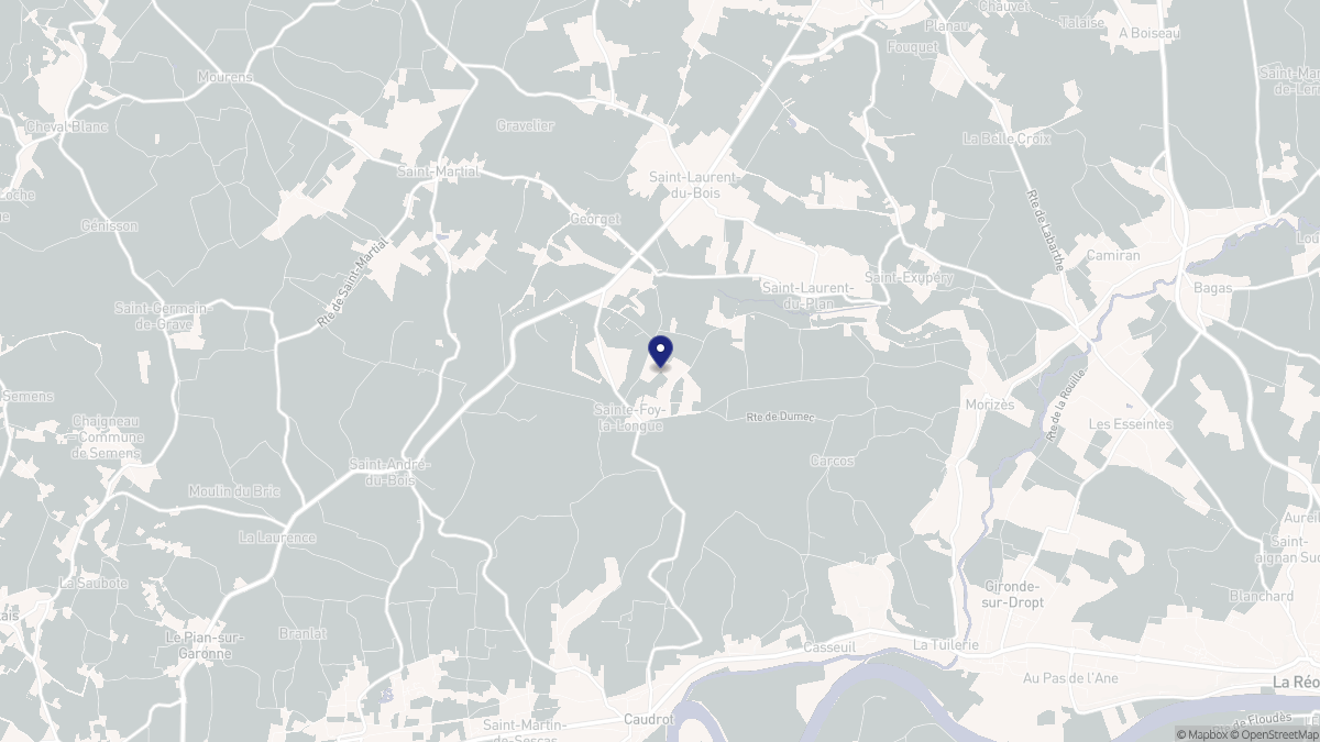 Aperçu cartographique de Sainte-Foy-la-Longue, centré sur la commune