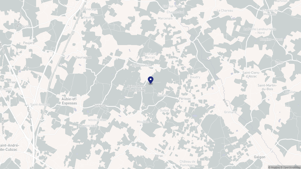 Aperçu cartographique de Saint-Genès-de-Fronsac, centré sur la commune