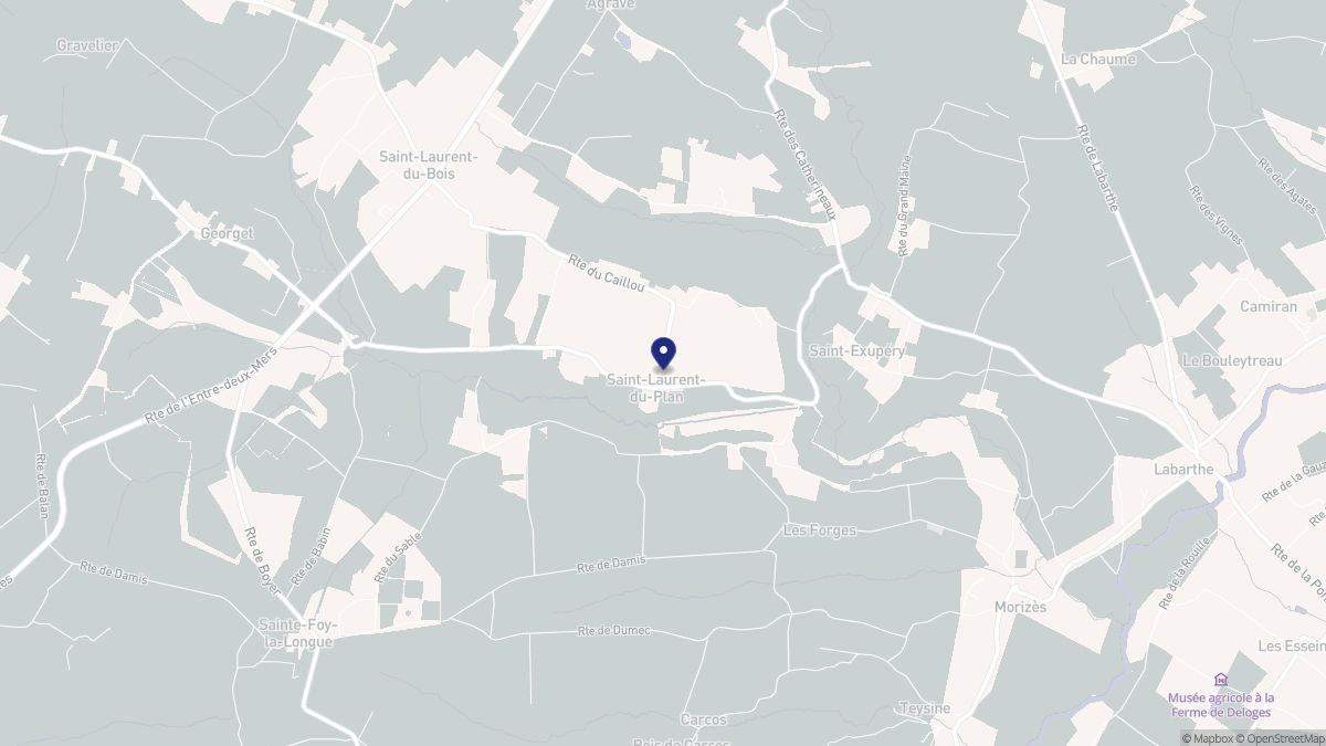 Aperçu cartographique de Saint-Laurent-du-Plan, centré sur la commune