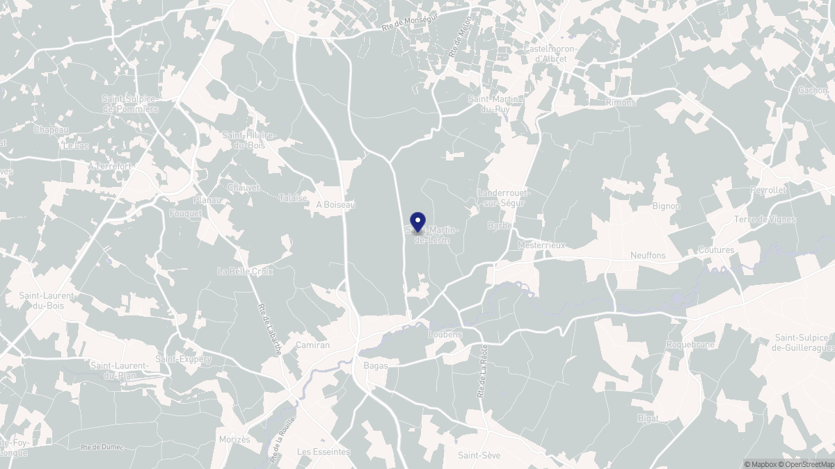 Aperçu cartographique de Saint-Martin-de-Lerm, centré sur la commune