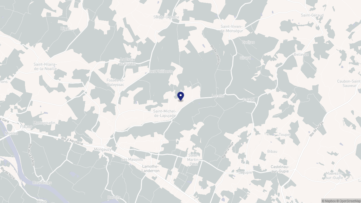 Aperçu cartographique de Saint-Michel-de-Lapujade, centré sur la commune