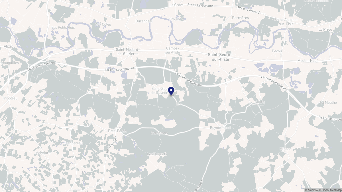 Aperçu cartographique de Saint-Sauveur-de-Puynormand, centré sur la commune