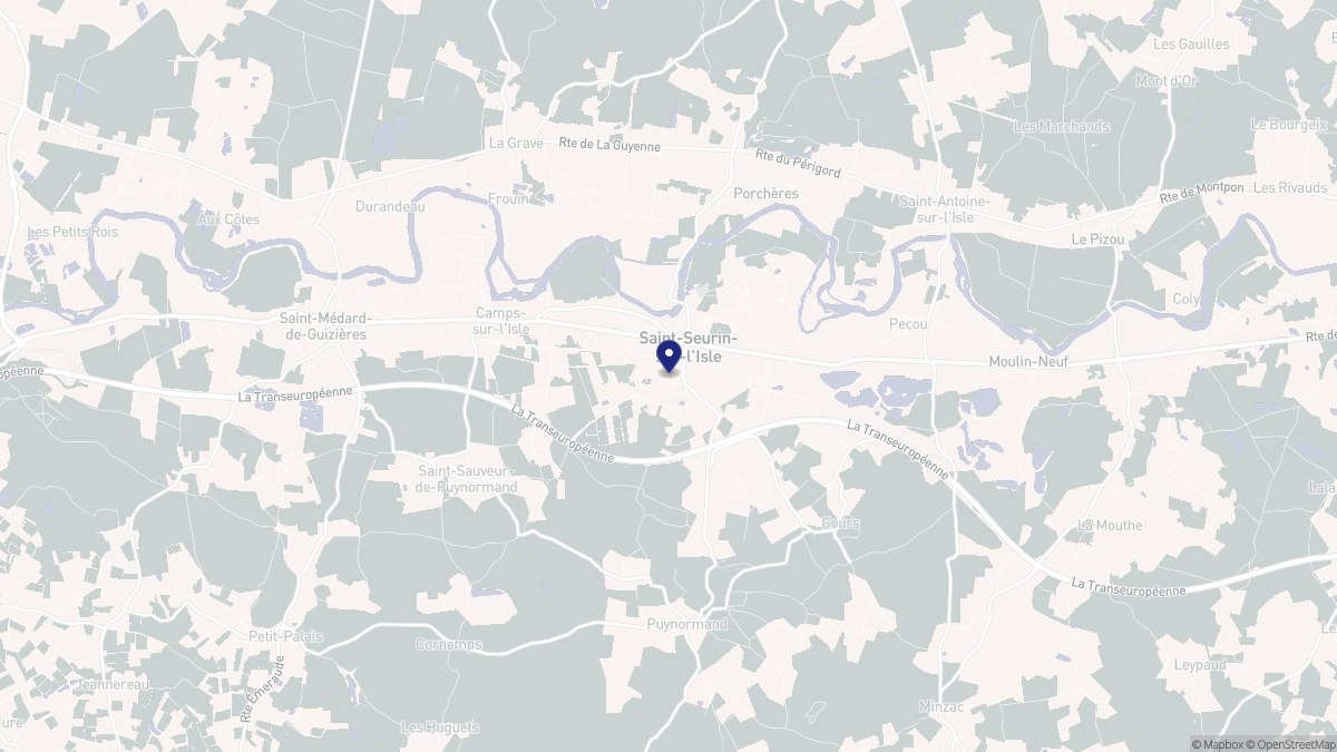 Aperçu cartographique de Saint-Seurin-sur-l'Isle, centré sur la commune