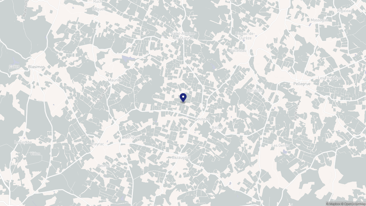 Aperçu cartographique de Soussac, centré sur la commune