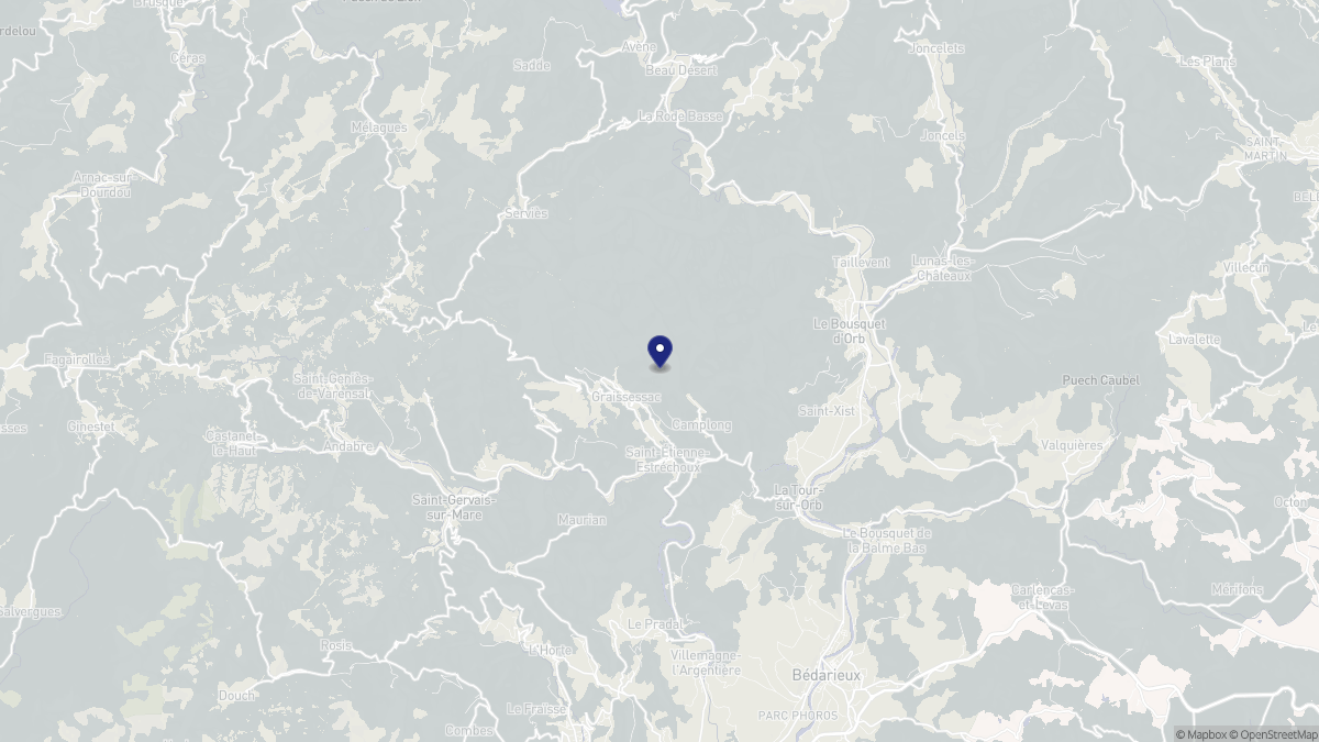 Aperçu cartographique de Camplong, centré sur la commune