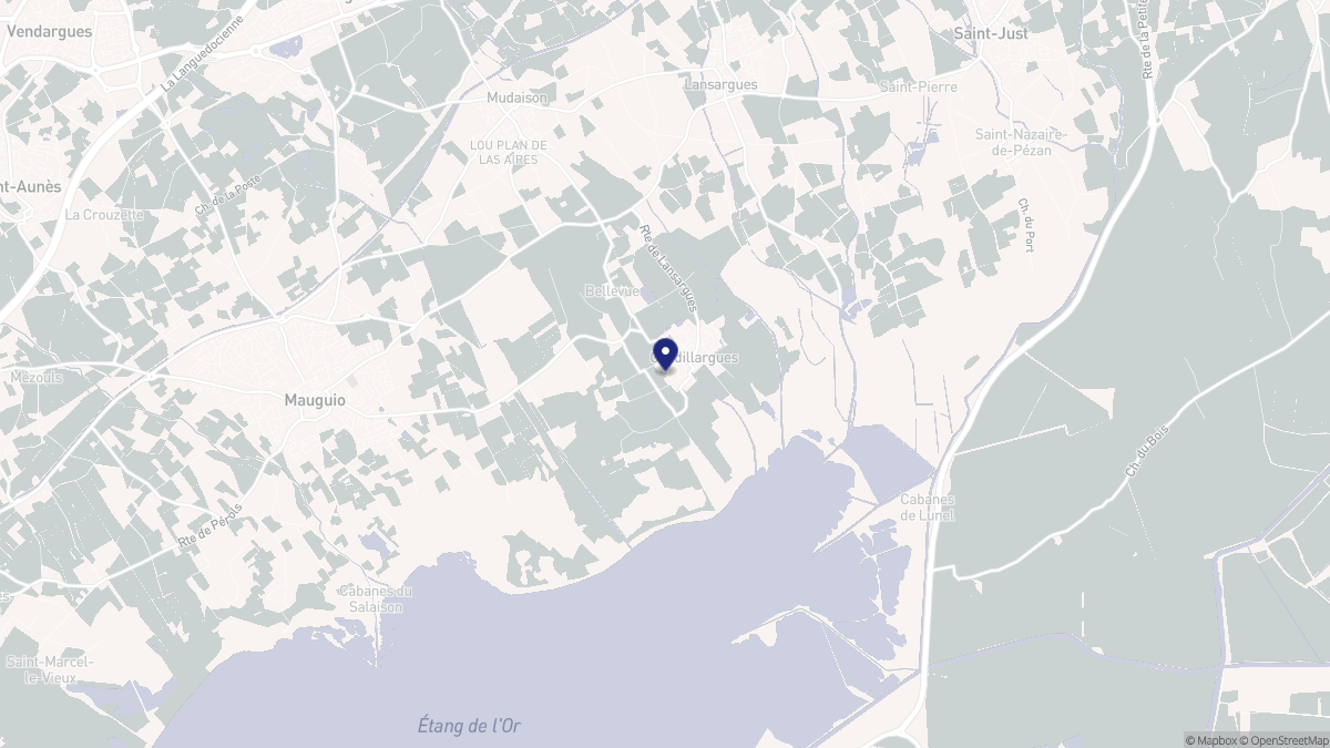 Aperçu cartographique de Candillargues, centré sur la commune