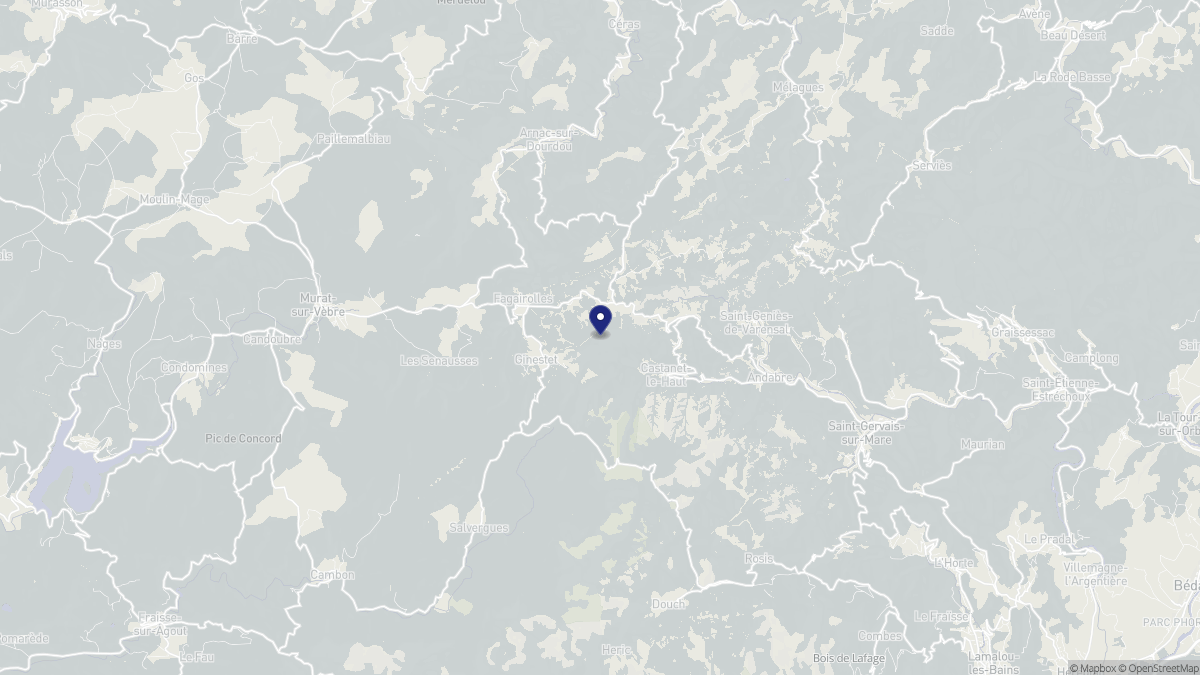Aperçu cartographique de Castanet-le-Haut, centré sur la commune