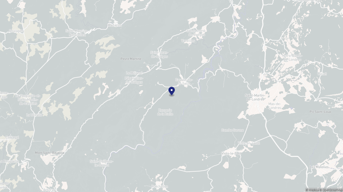 Aperçu cartographique de Causse-de-la-Selle, centré sur la commune