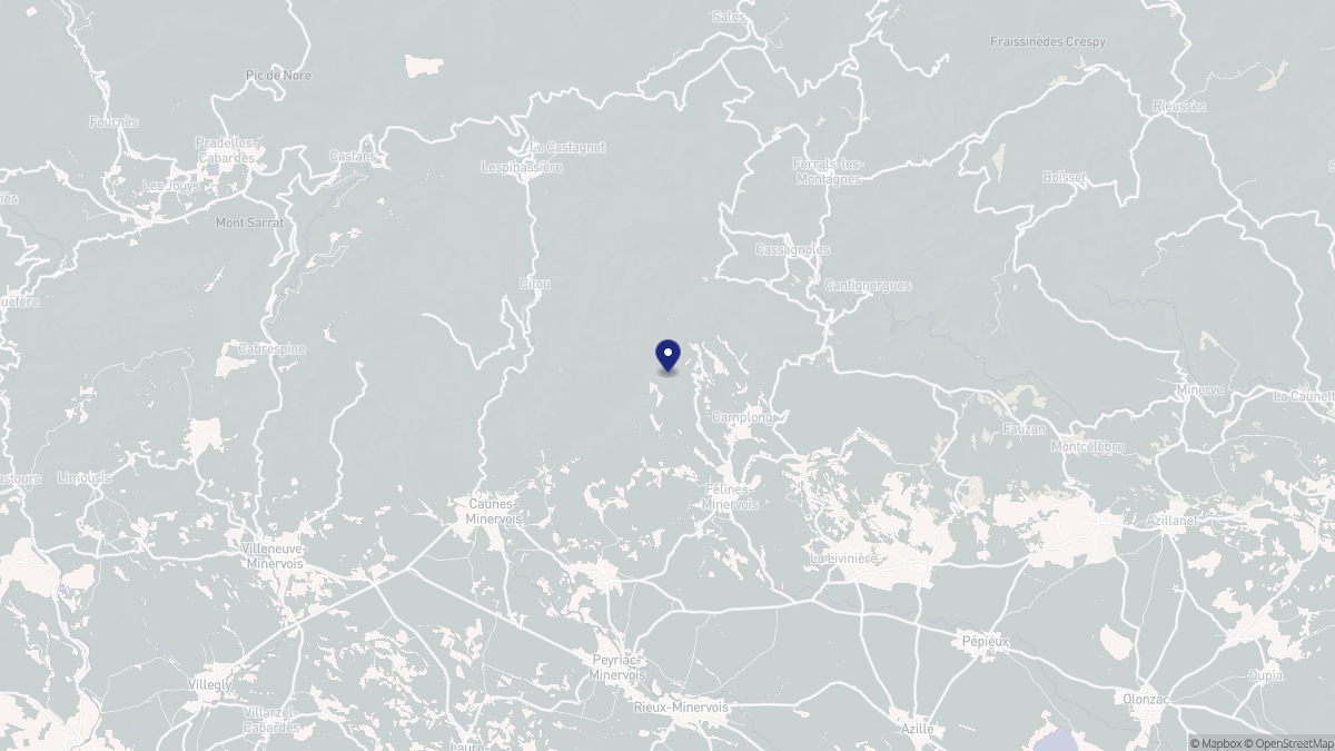 Aperçu cartographique de Félines-Minervois, centré sur la commune