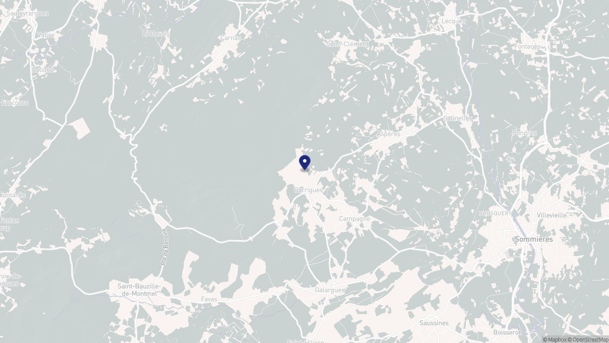 Aperçu cartographique de Garrigues, centré sur la commune