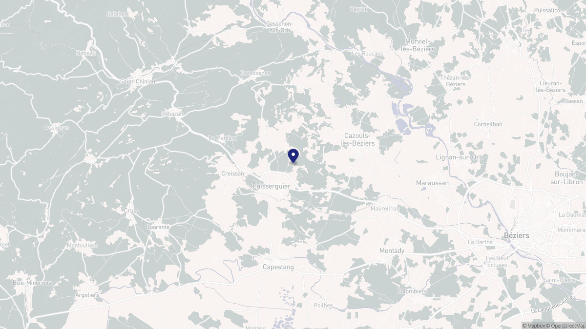 Aperçu cartographique de Puisserguier, centré sur la commune