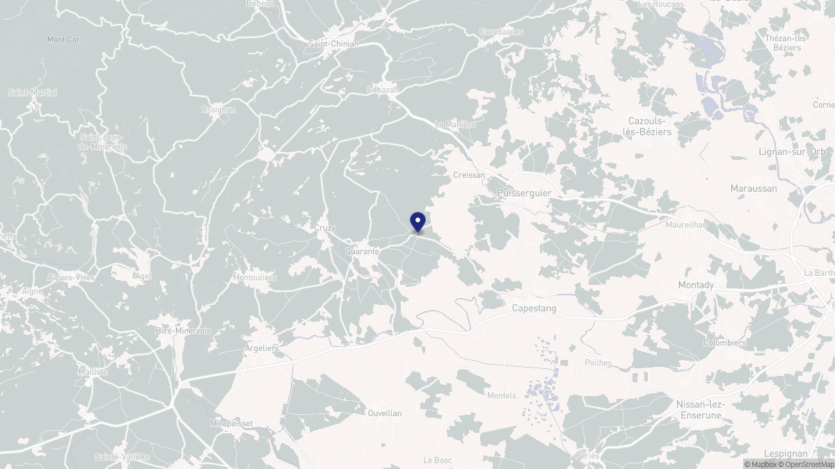 Aperçu cartographique de Quarante, centré sur la commune
