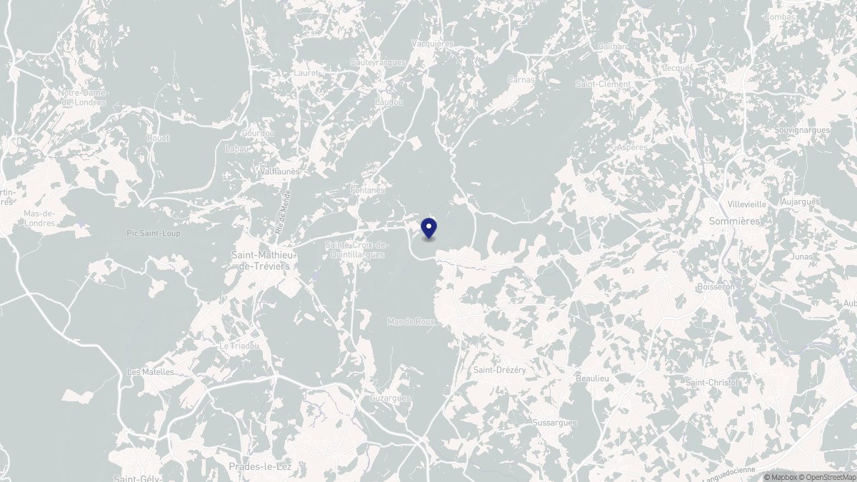 Aperçu cartographique de Saint-Bauzille-de-Montmel, centré sur la commune