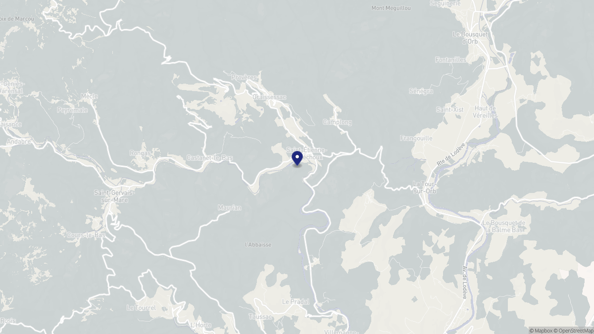 Aperçu cartographique de Saint-Étienne-Estréchoux, centré sur la commune