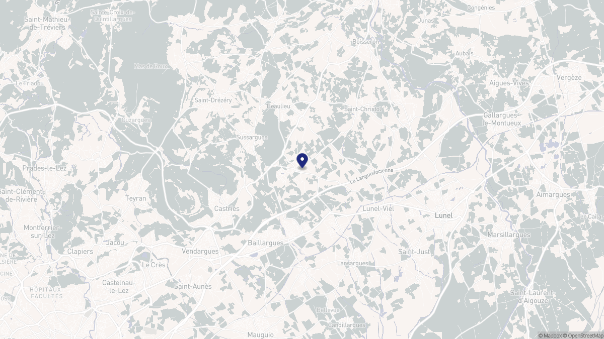 Aperçu cartographique de Saint-Geniès-des-Mourgues, centré sur la commune