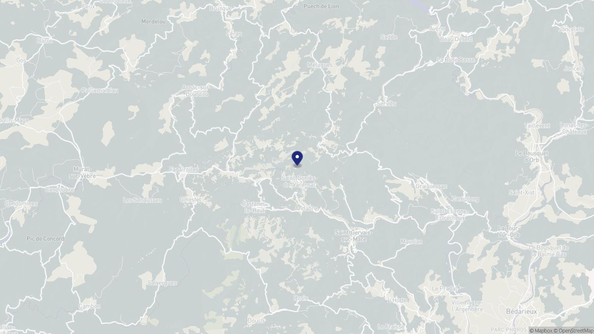 Aperçu cartographique de Saint-Geniès-de-Varensal, centré sur la commune