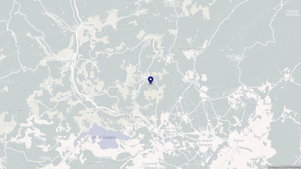 Aperçu cartographique de Saint-Jean-de-la-Blaquière, centré sur la commune
