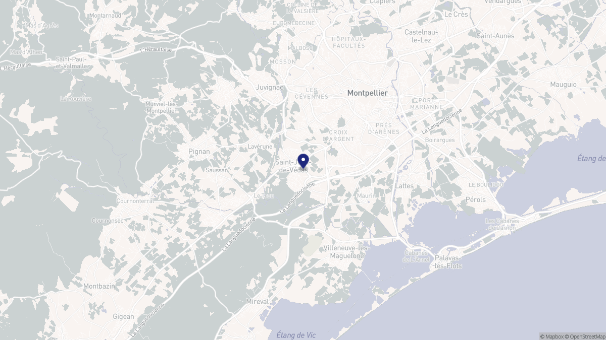 Aperçu cartographique de Saint-Jean-de-Védas, centré sur la commune