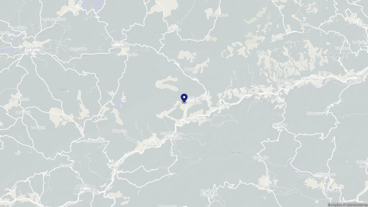 Aperçu cartographique de Saint-Vincent-d'Olargues, centré sur la commune