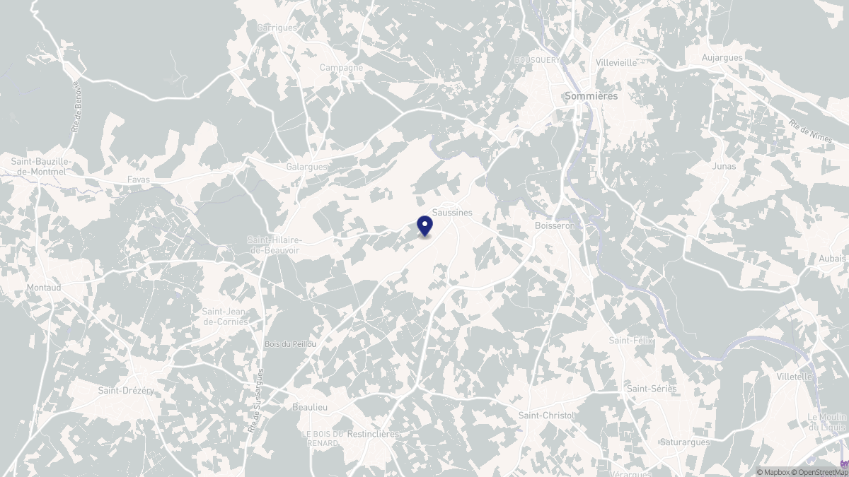 Aperçu cartographique de Saussines, centré sur la commune