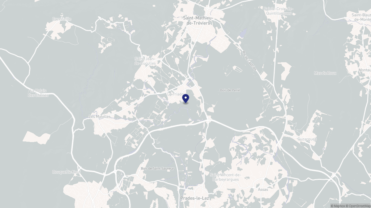 Aperçu cartographique de Le Triadou, centré sur la commune