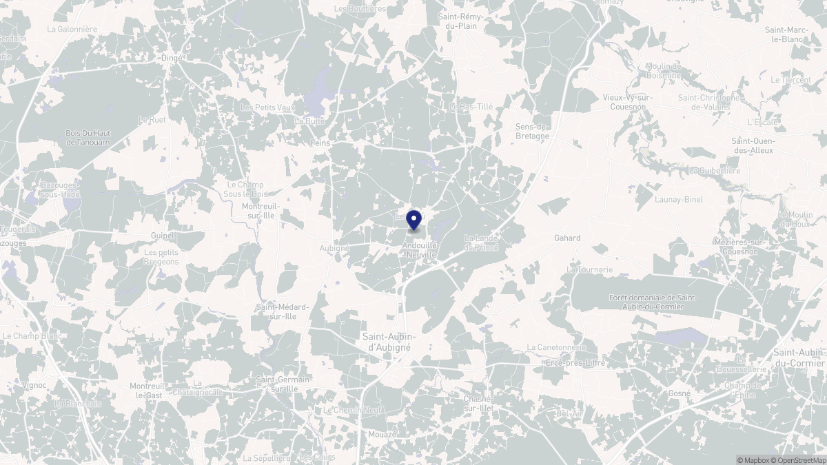 Aperçu cartographique de Andouillé-Neuville, centré sur la commune