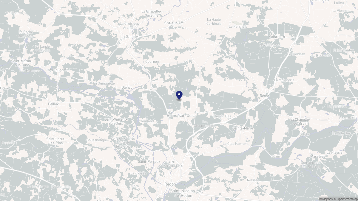 Aperçu cartographique de Bains-sur-Oust, centré sur la commune