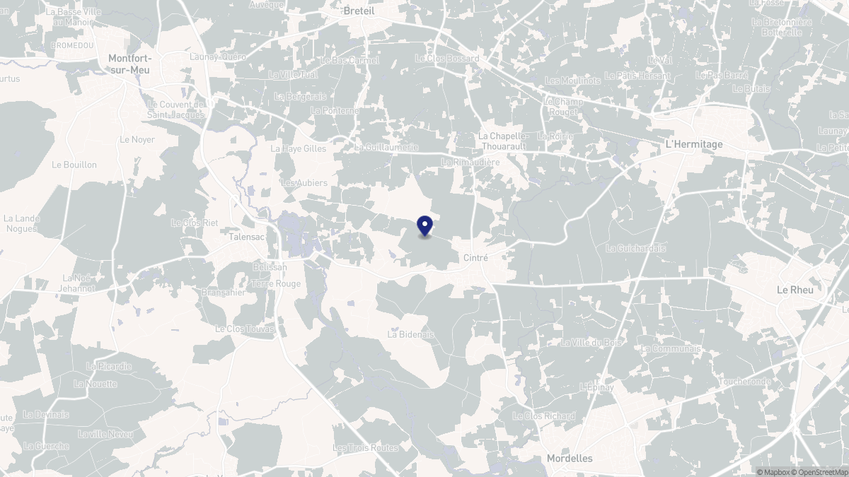 Aperçu cartographique de Cintré, centré sur la commune