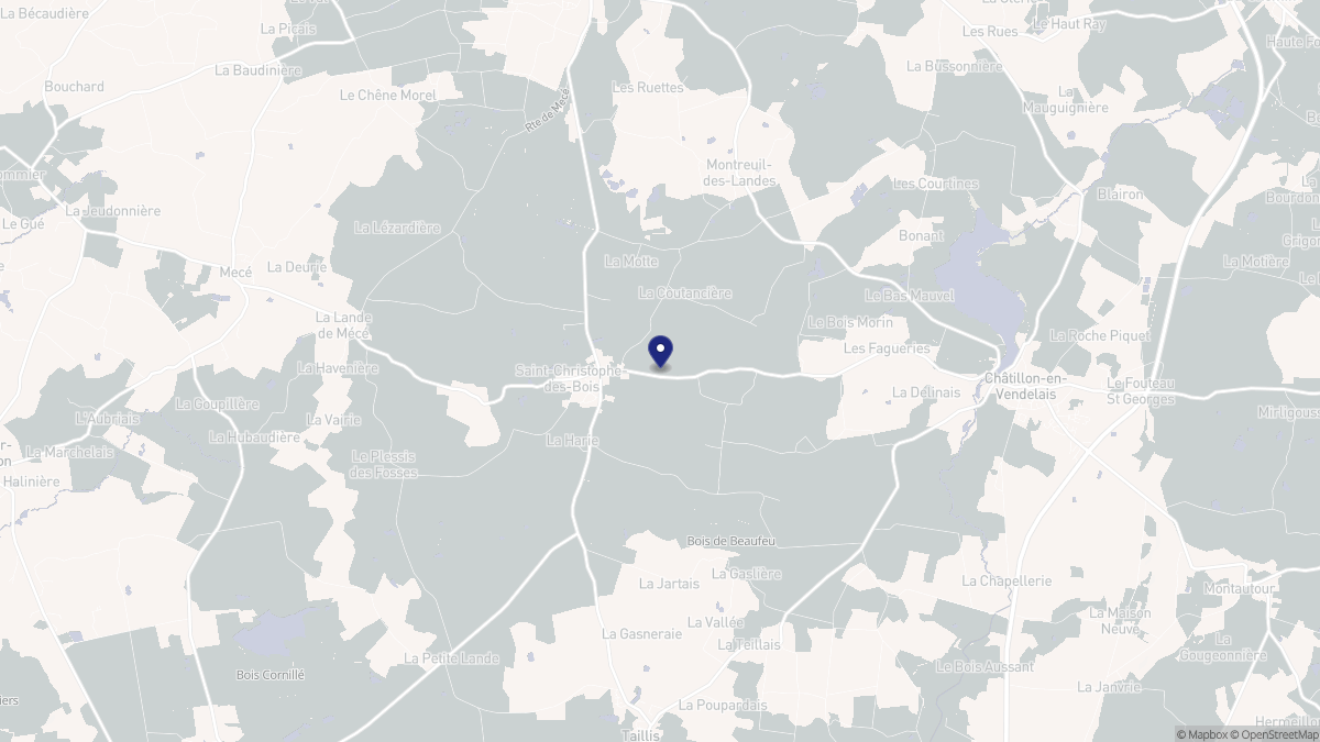Aperçu cartographique de Saint-Christophe-des-Bois, centré sur la commune