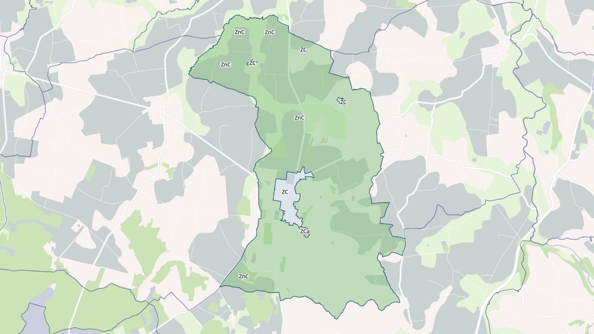 Aperçu cartographique de Saint-Rémy-du-Plain, centré sur la commune