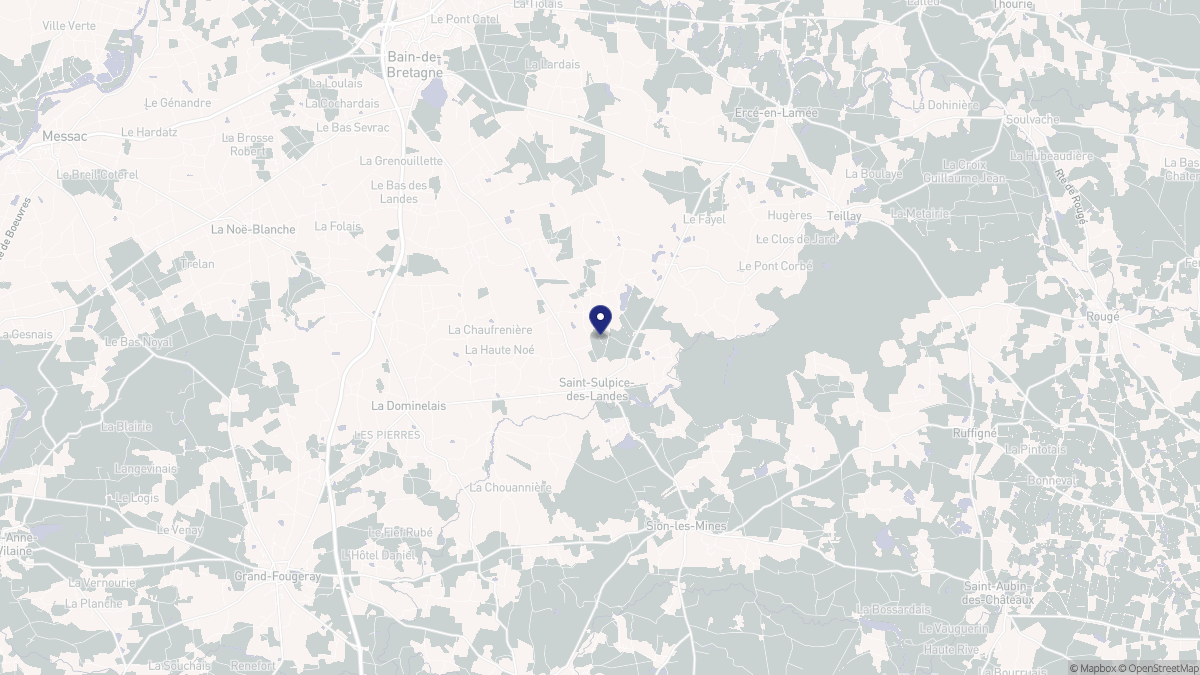 Aperçu cartographique de Saint-Sulpice-des-Landes, centré sur la commune